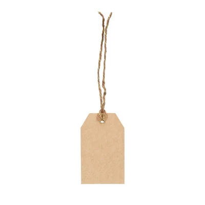 10ct Kraft Gift Tags Brown - Spritz™ 1 10ct Kraft Gift Tags Brown - Spritz™